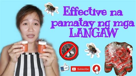ano ang pang patay sa langaw|Pinakamabisang Pamatay sa Mga Langaw .